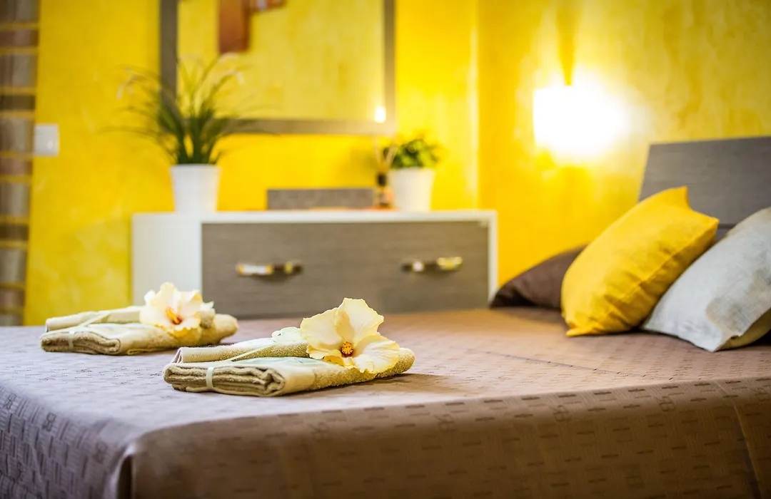B&B Pepito-1